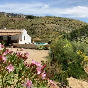 casa-siempre-feliz.es-andalucia.com/